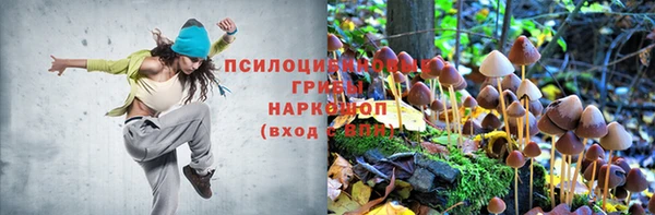 круглые Вязьма