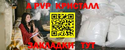 СК Волгодонск