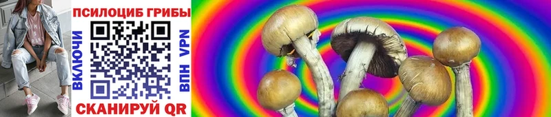 даркнет сайт OMG tor Псилоцибиновые грибы Cubensis Елец