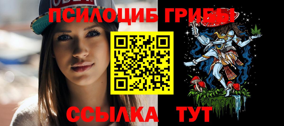 Псилоцибиновые грибы GOLDEN TEACHER Елец
